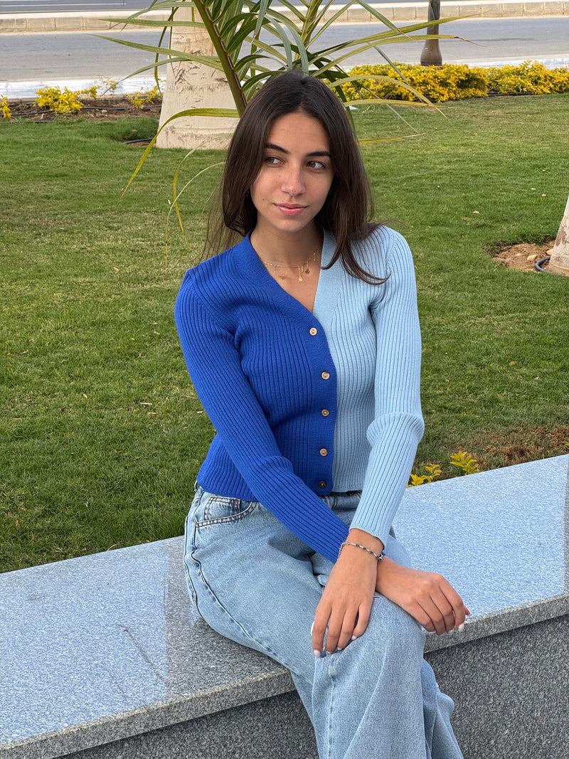 Blue & Baby Blue Contrast Knit Sweater